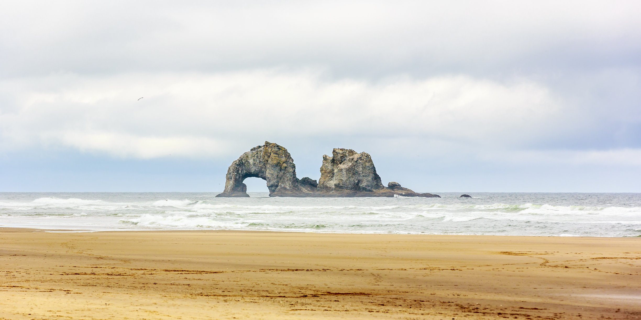 Image Credit: Getty Images Image Credit: Getty Images