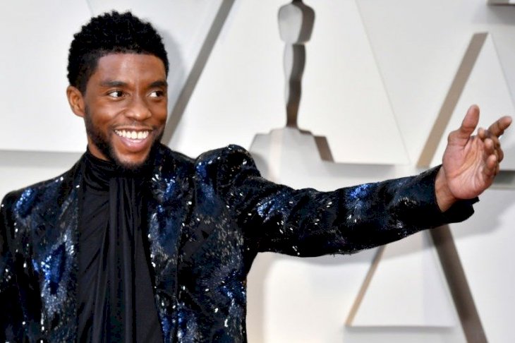 Image Credits: Getty Images / Chadwick Boseman at 91st Annual Academic Awards
