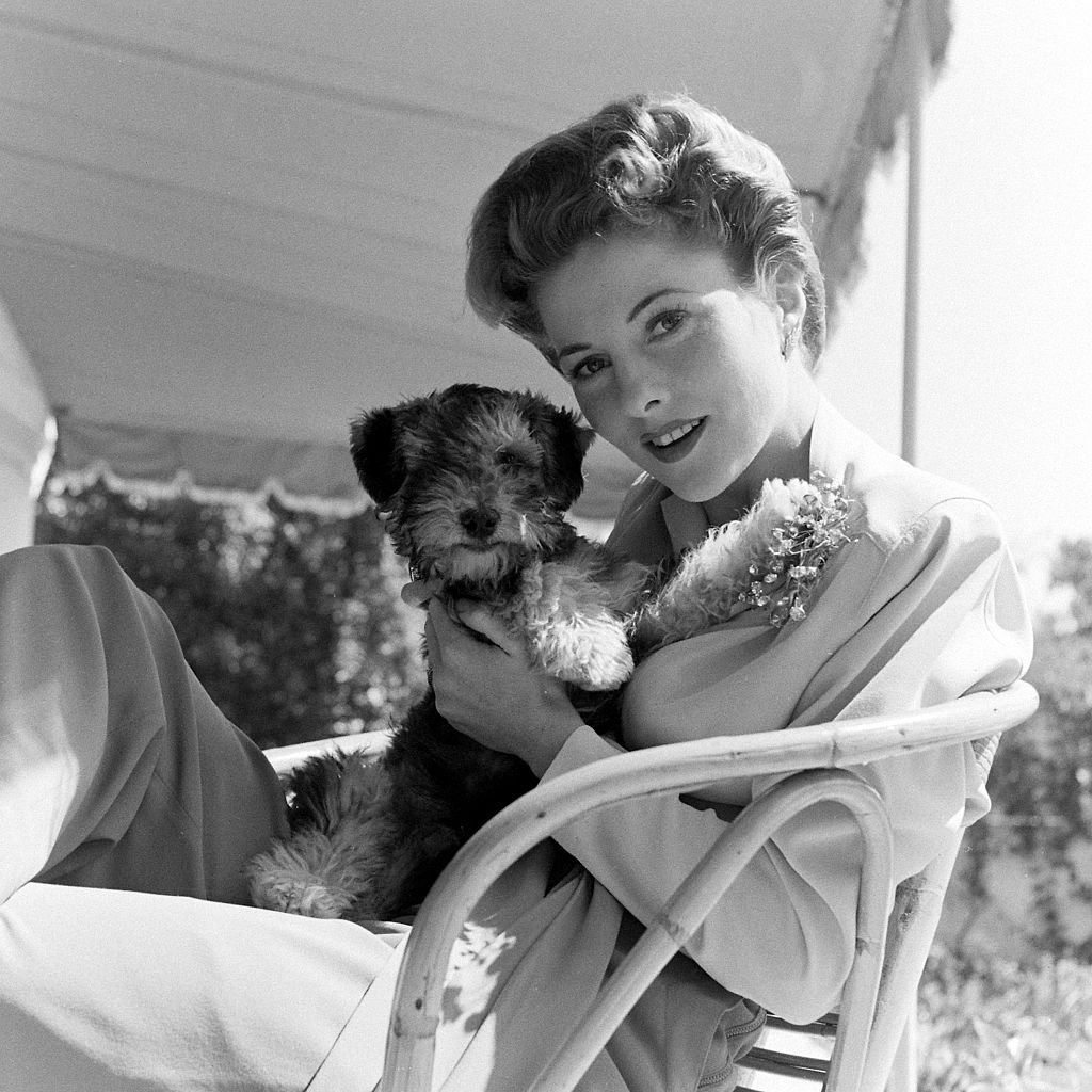 Image Source: Getty Images/The LIFE Picture Collection/Bob Landry/Fontaine with her pompadour hairdo, at home with her dog circa 1942.