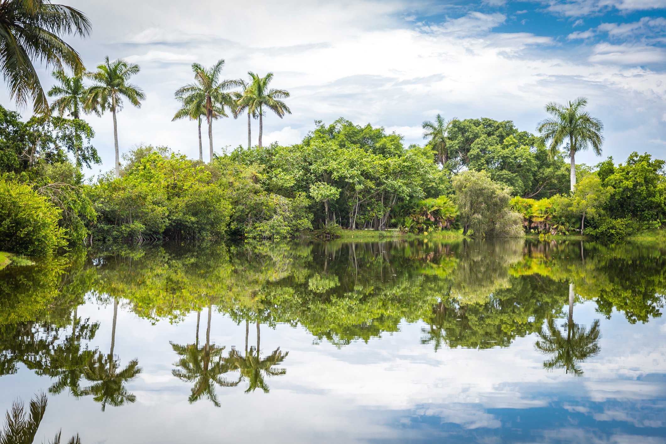 Image Credit: Getty Images Image Credit: Getty Images