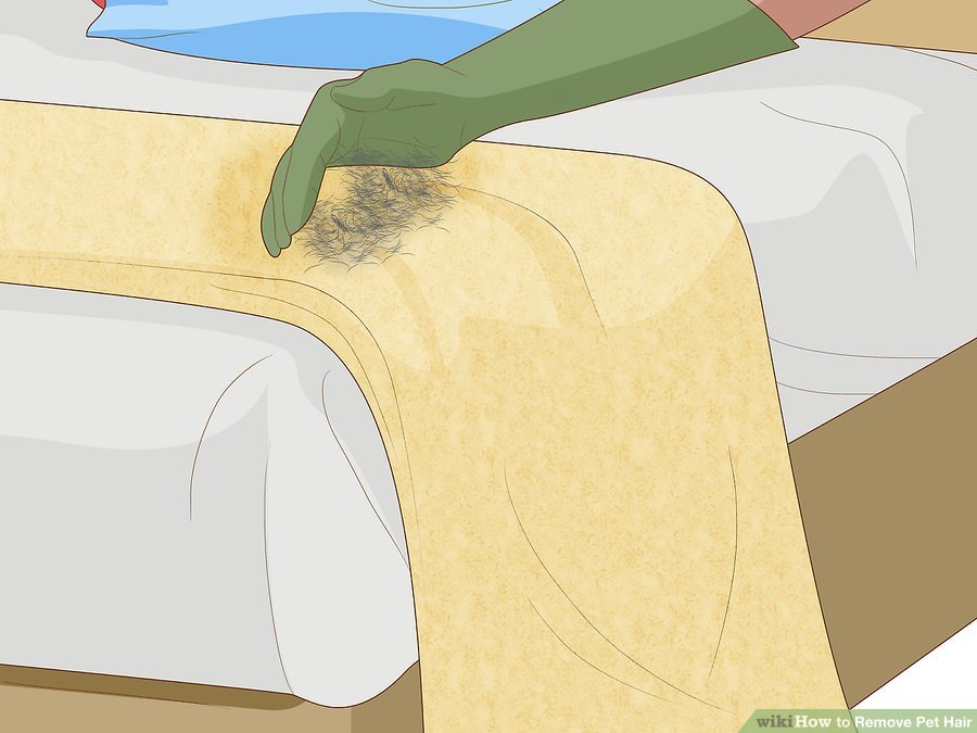 Image Credit: Wikihow Image Credit: Wikihow