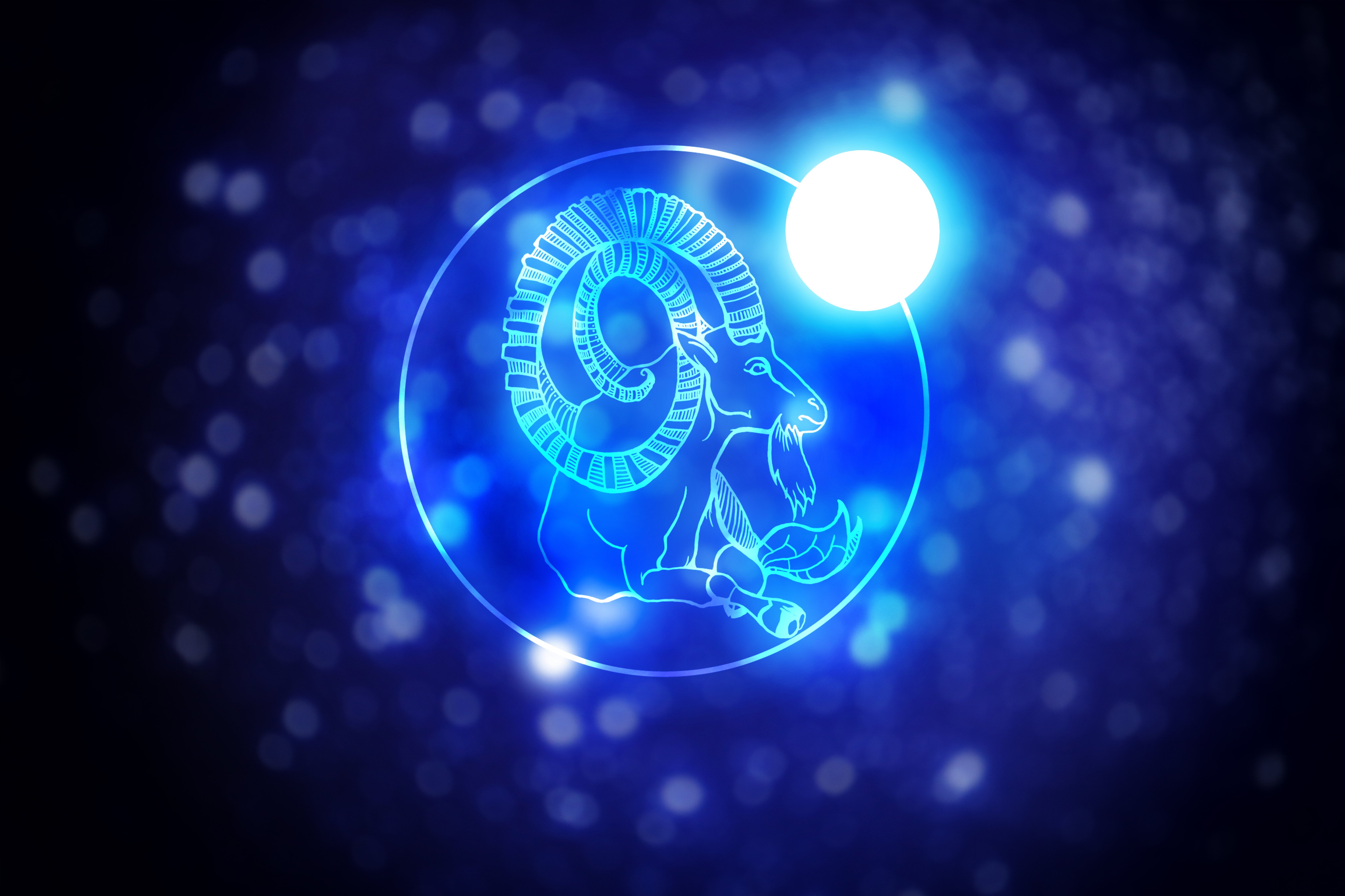Image Credit: Shutterstock / Pixel-Shot