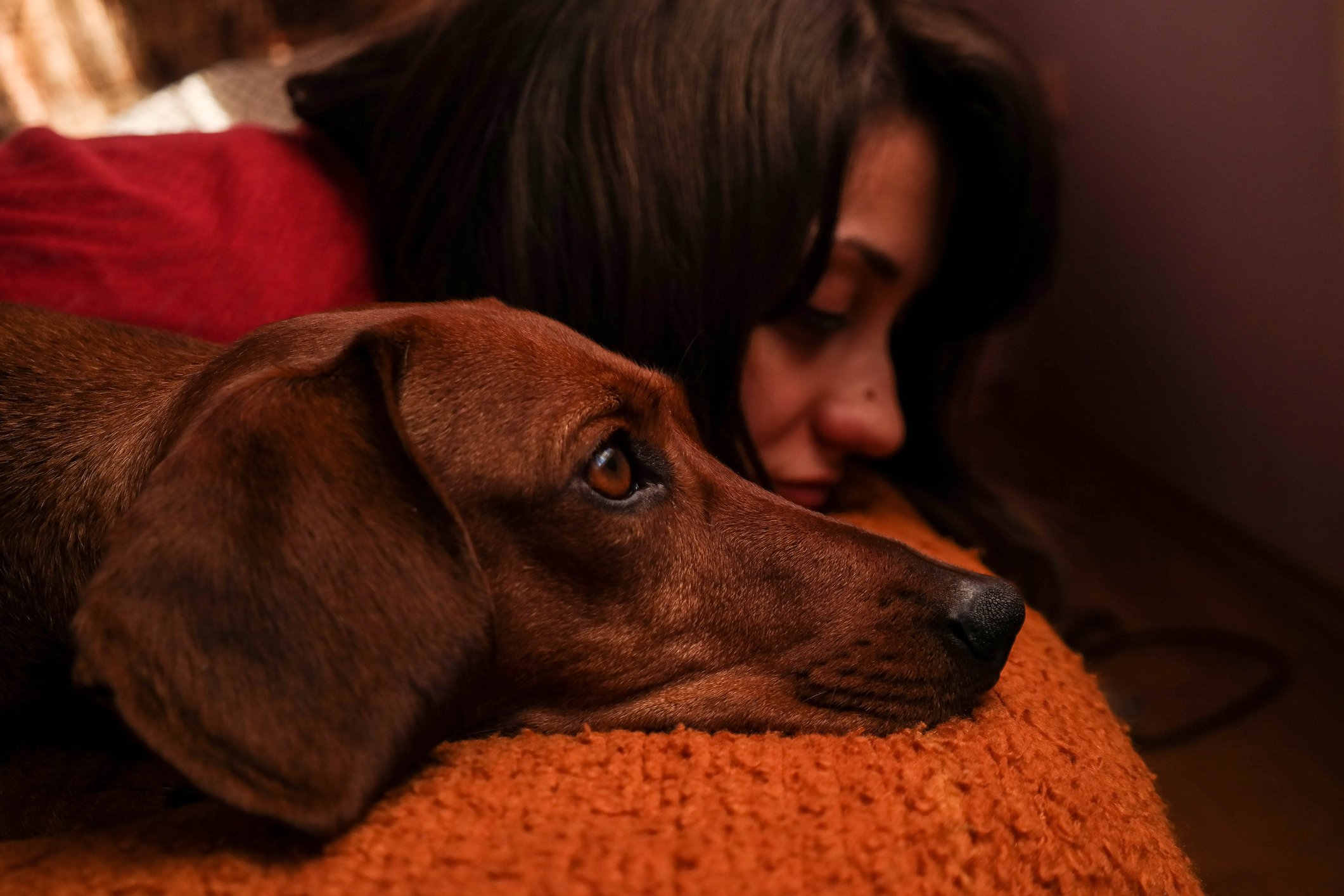 Image Credits: Getty Images/EyeEm/Abel Halasz/For Illustrative Purposes Image Credits: Getty Images/EyeEm/Abel Halasz/For Illustrative Purposes
