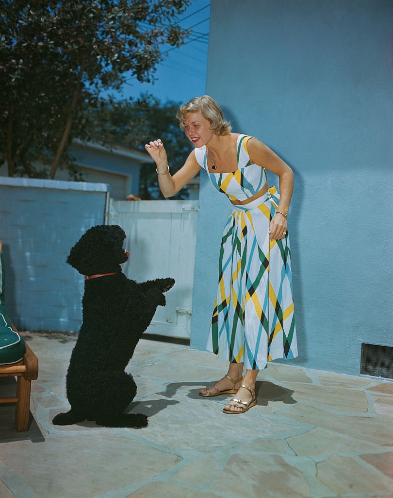 Image Credits: Getty Images / Archive Photos | American actress and singer Doris Day playing with a dog, circa 1950.