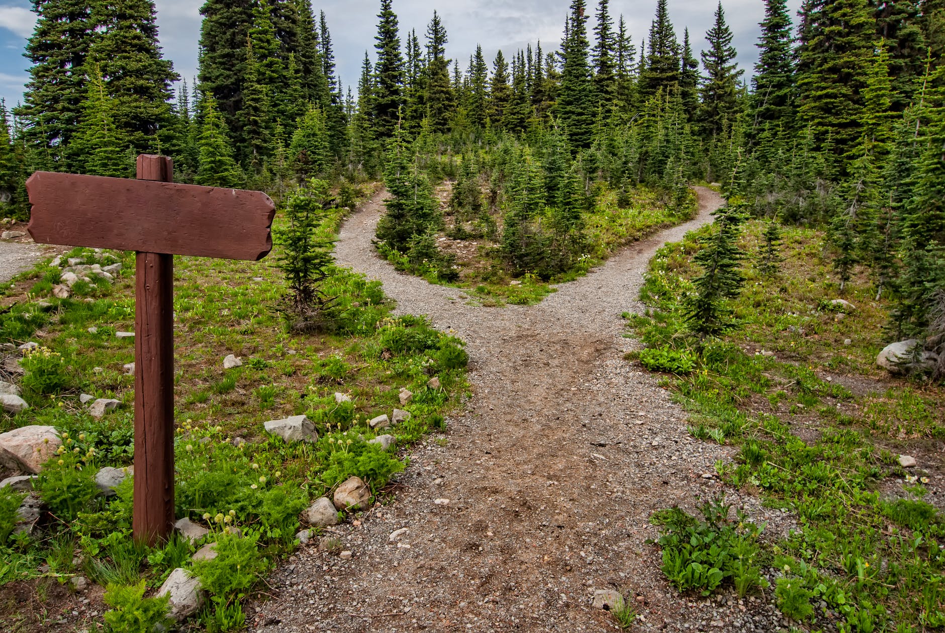 Image Credit: Pexels/James Wheeler Image Credit: Pexels/James Wheeler