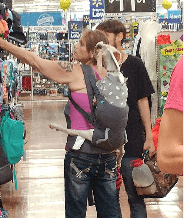 Créditos de imagen: Reddit/DystopianSoul Créditos de imagen: Reddit/DystopianSoul