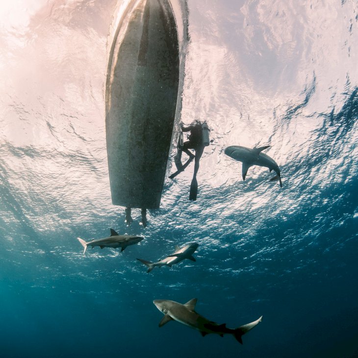Image Credits: Getty Images/EyeEm/Gang Song/For Illustrative Purposes