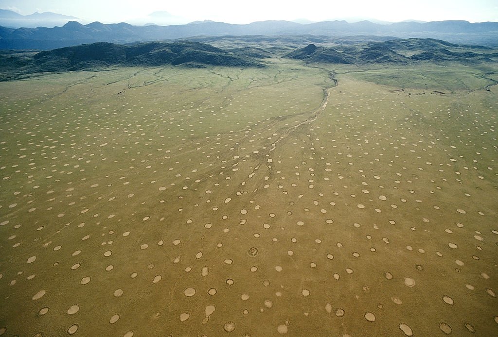 Image Credit: Getty Images Image Credit: Getty Images