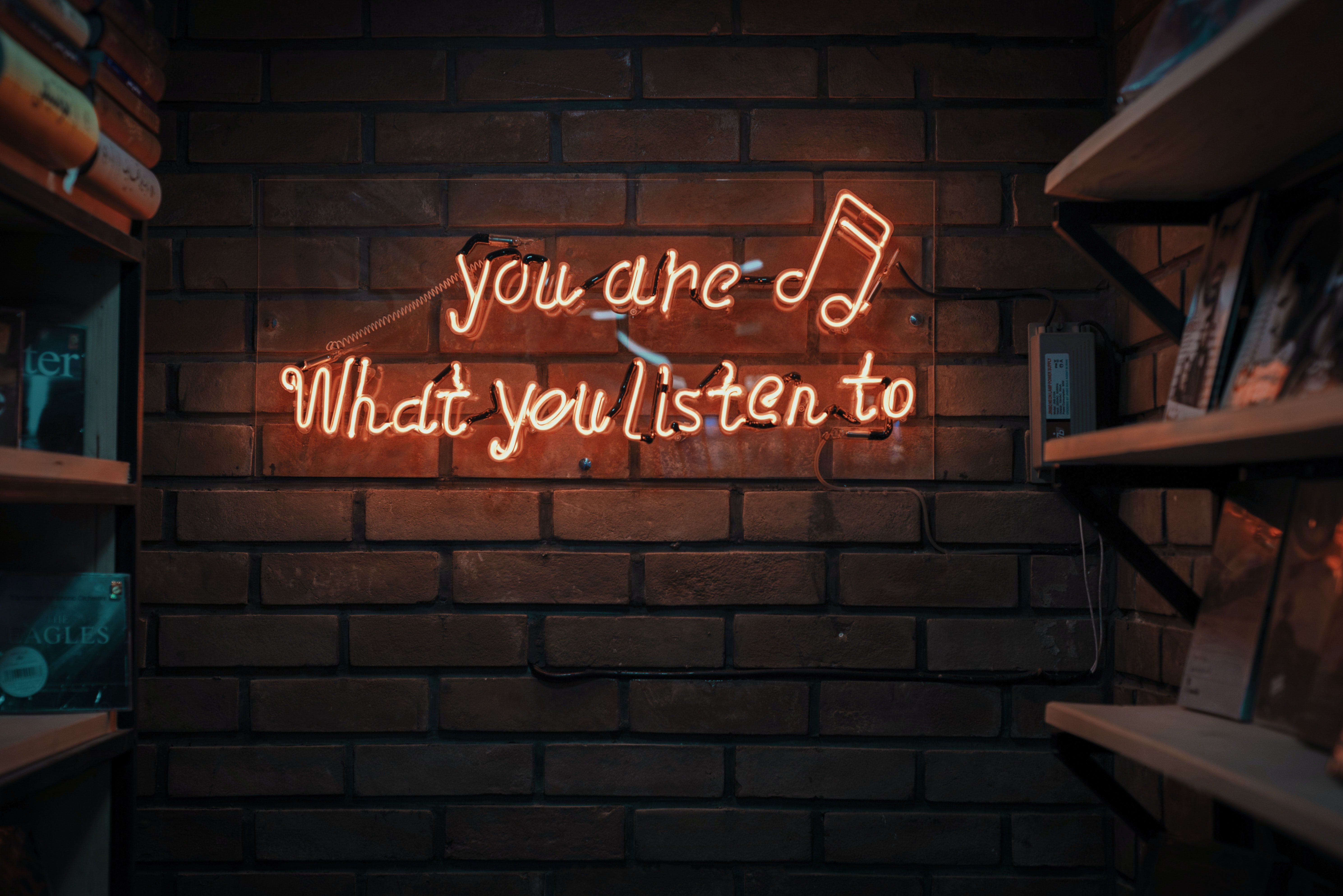 Image Source: Unsplash/Mohammad Metri Image Source: Unsplash/Mohammad Metri
