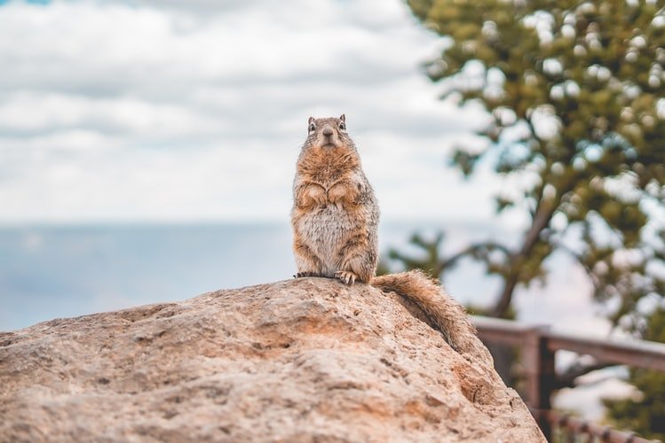 Image Credit: Unsplash/Westwind Air Service Image Credit: Unsplash/Westwind Air Service