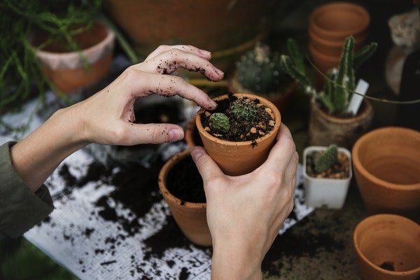 Image Credit: Pexels Image Credit: Pexels