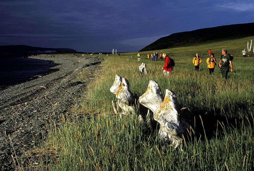 Image Credit: Getty Images Image Credit: Getty Images