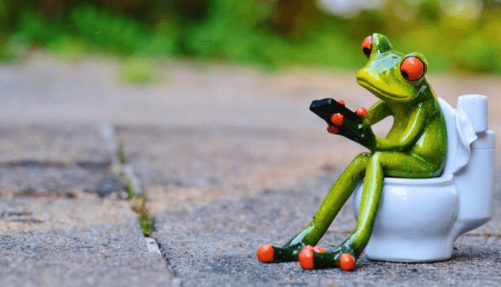 Créditos de imagen: Pixabay Créditos de imagen: Pixabay