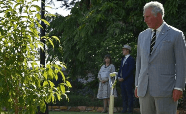 Créditos de imagen: Instagram/Clarencehouse Créditos de imagen: Instagram/Clarencehouse