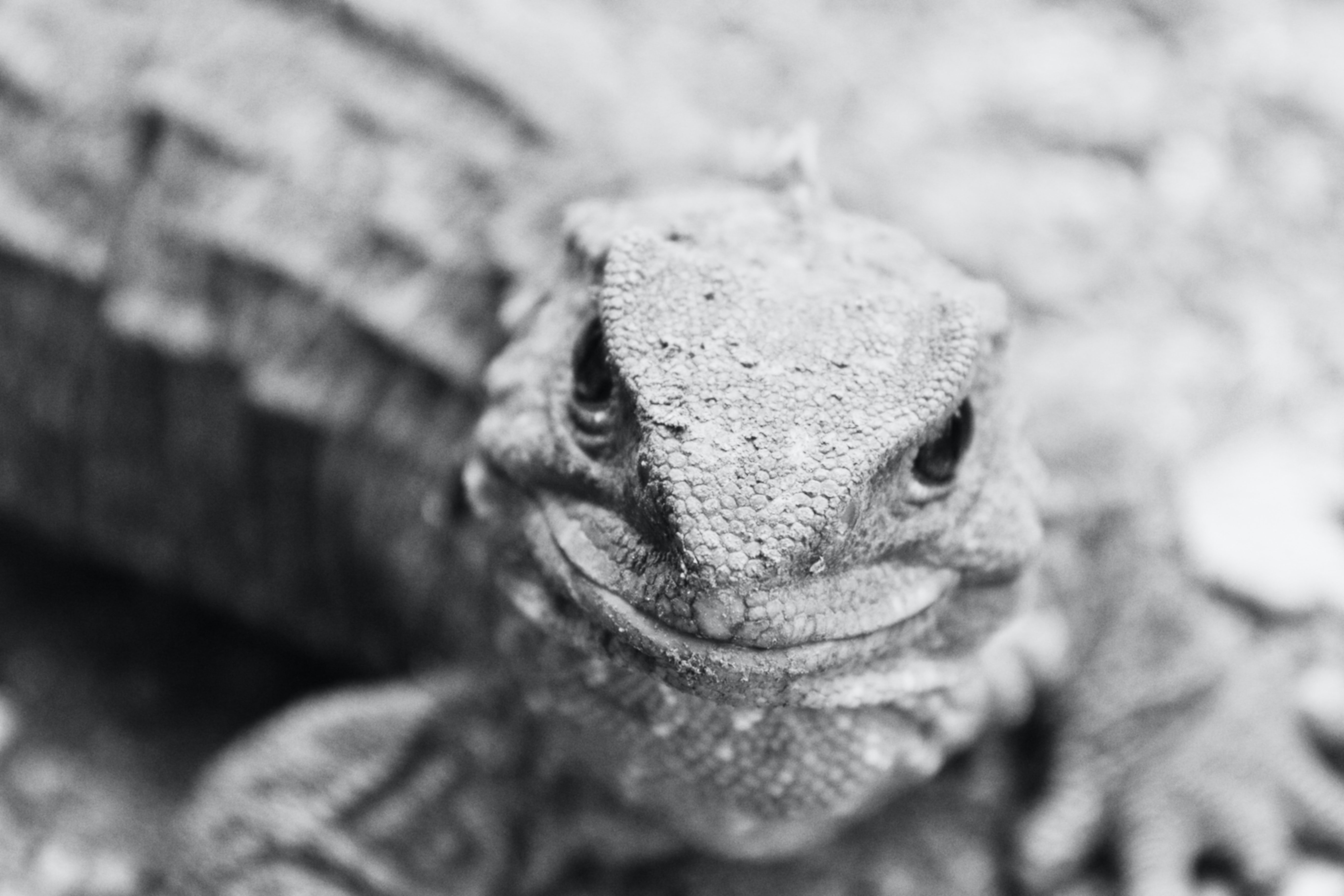 Image Source: Unsplash/Simon Infanger