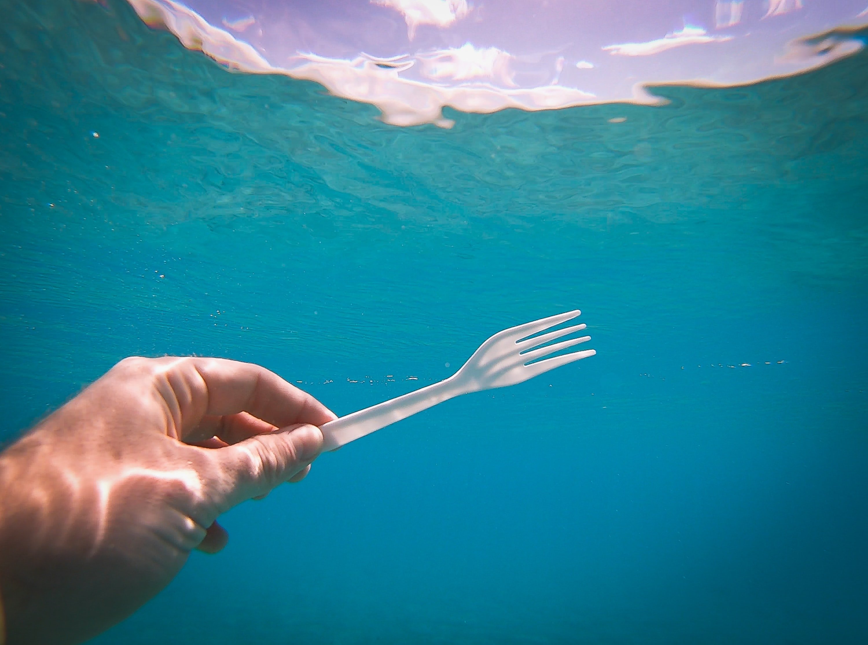 Image Source: Unsplash/Brian Yurasits