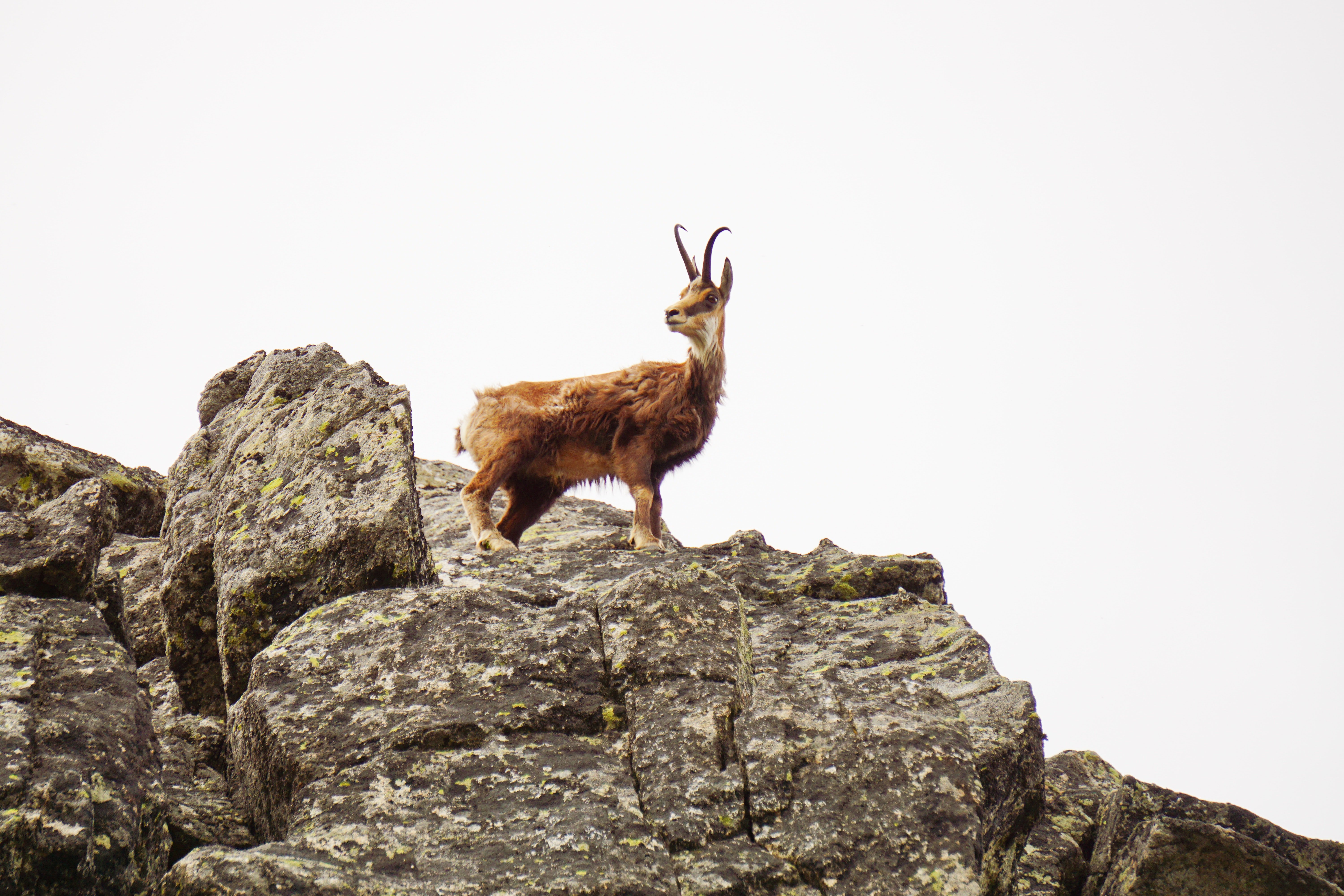 Image Source: Unsplash/MARIA MIHALTAN