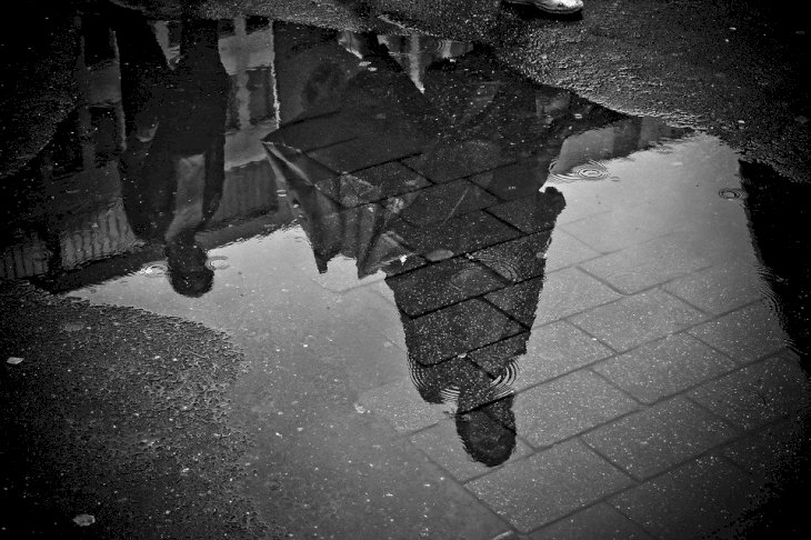 Créditos de imagen: Pixabay Créditos de imagen: Pixabay