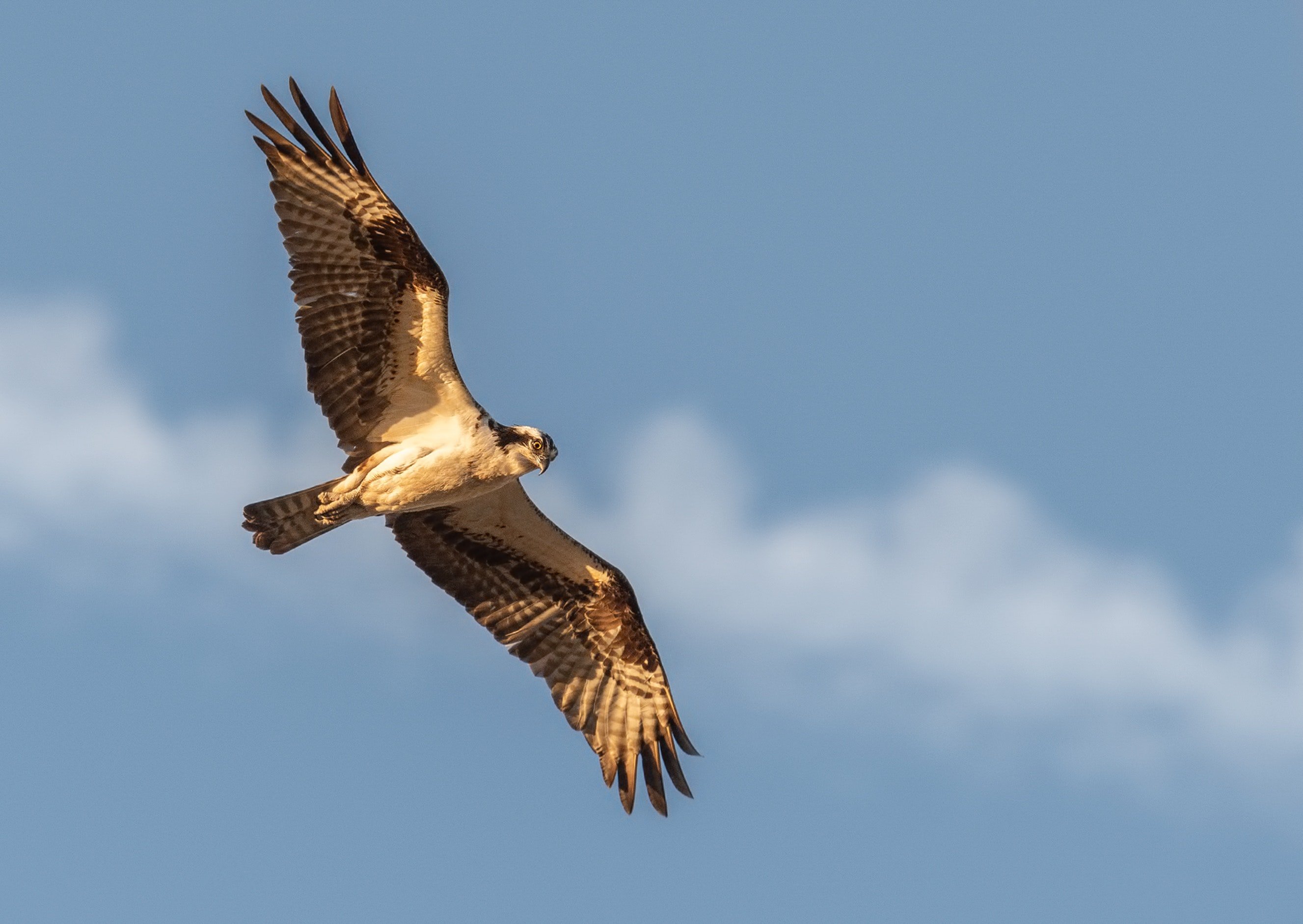 Photo by Nigam Machchhar from Pexels