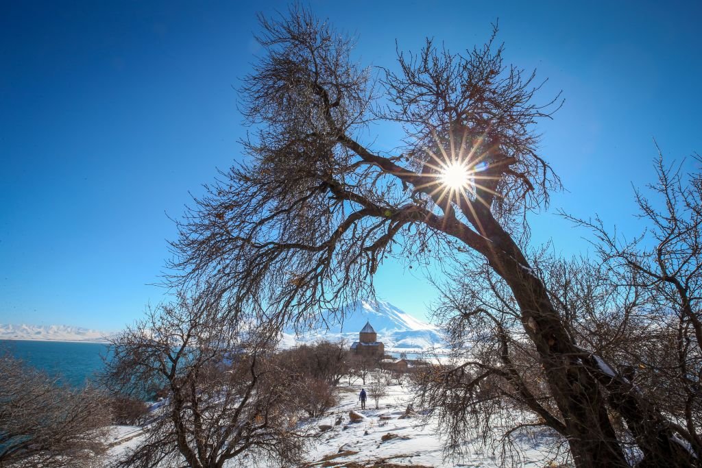 Image Credit: Getty Images Image Credit: Getty Images