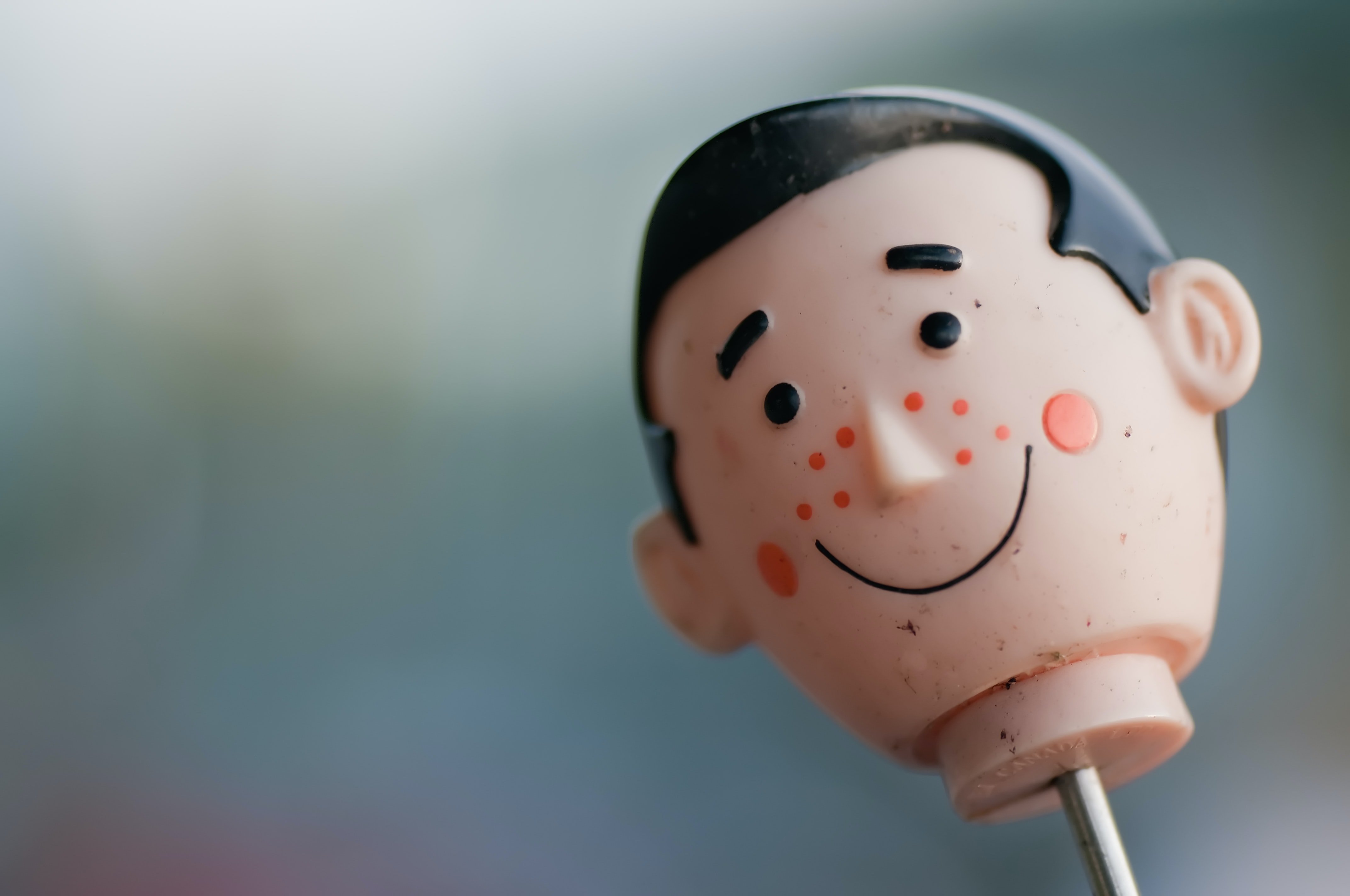 Image Source: Unsplash/Scott Webb Image Source: Unsplash/Scott Webb