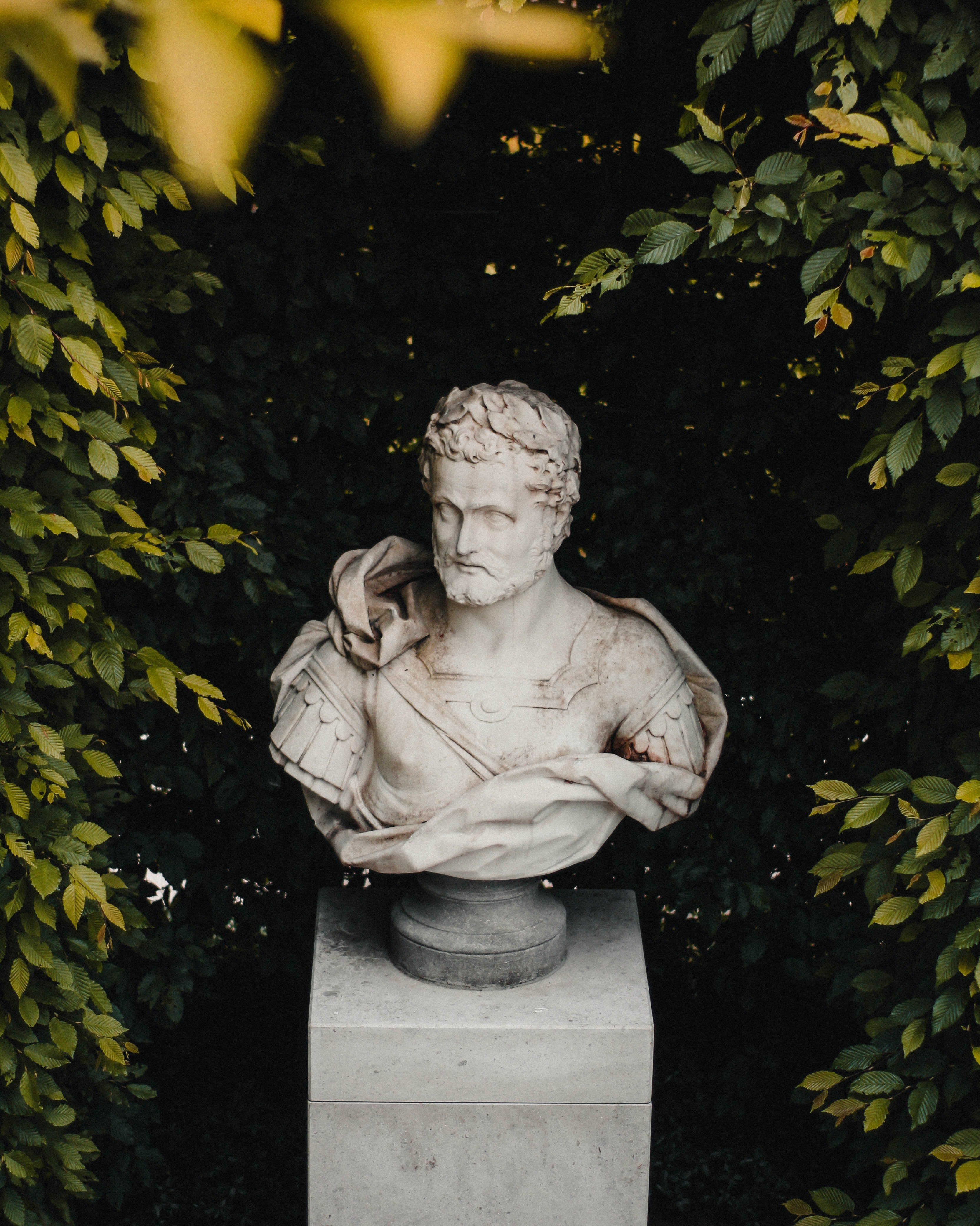 Image Source: Unsplash/Mike Gorrell