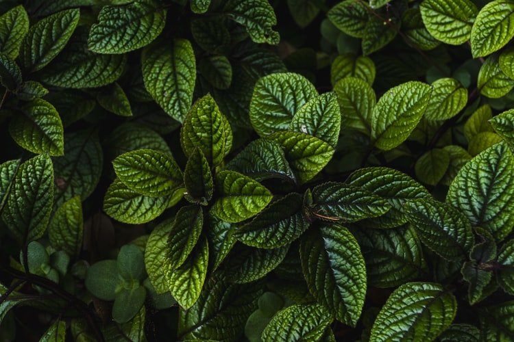 Image Credit: Unsplash Image Credit: Unsplash