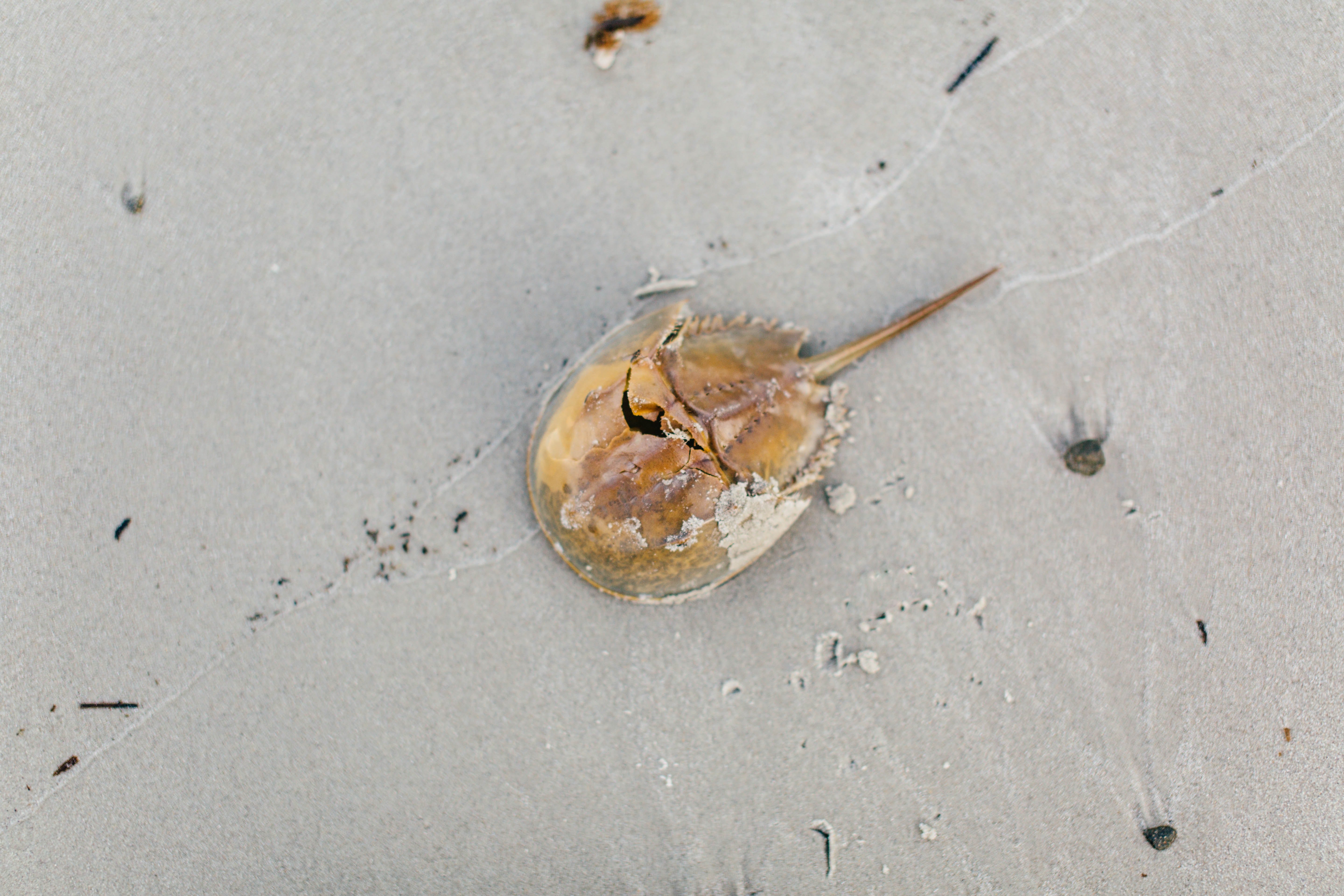 Image Source: Unsplash/Michael Browning