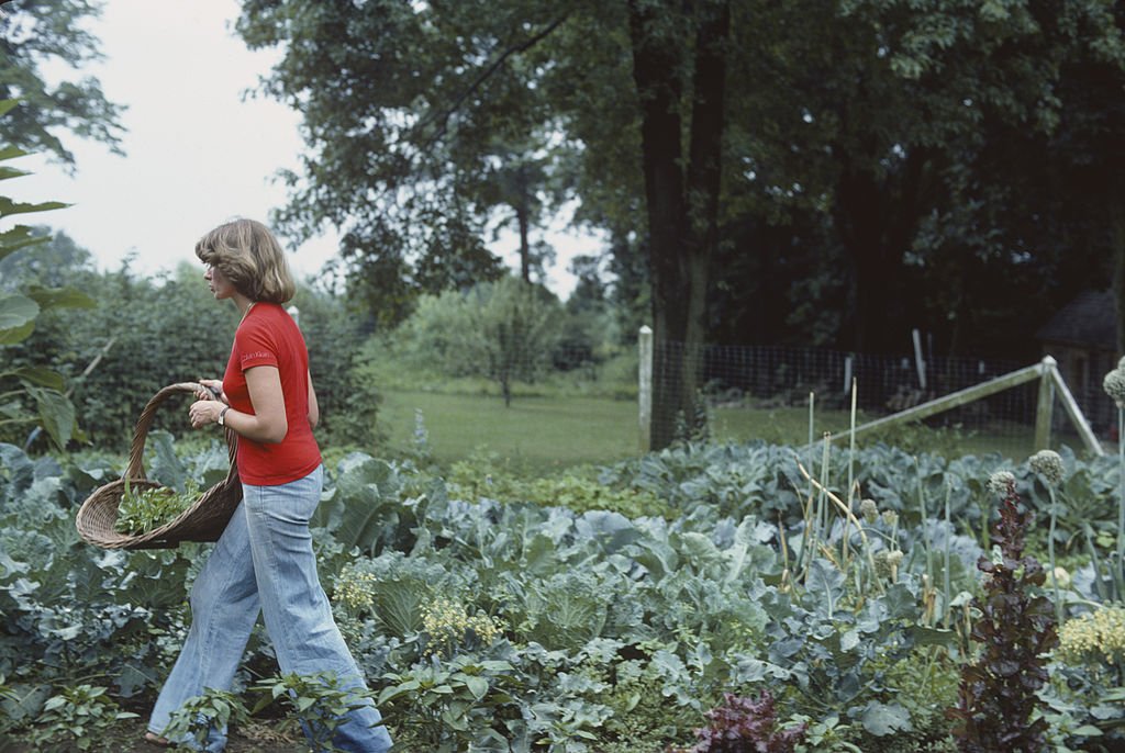 Image Credit: Getty Images Image Credit: Getty Images