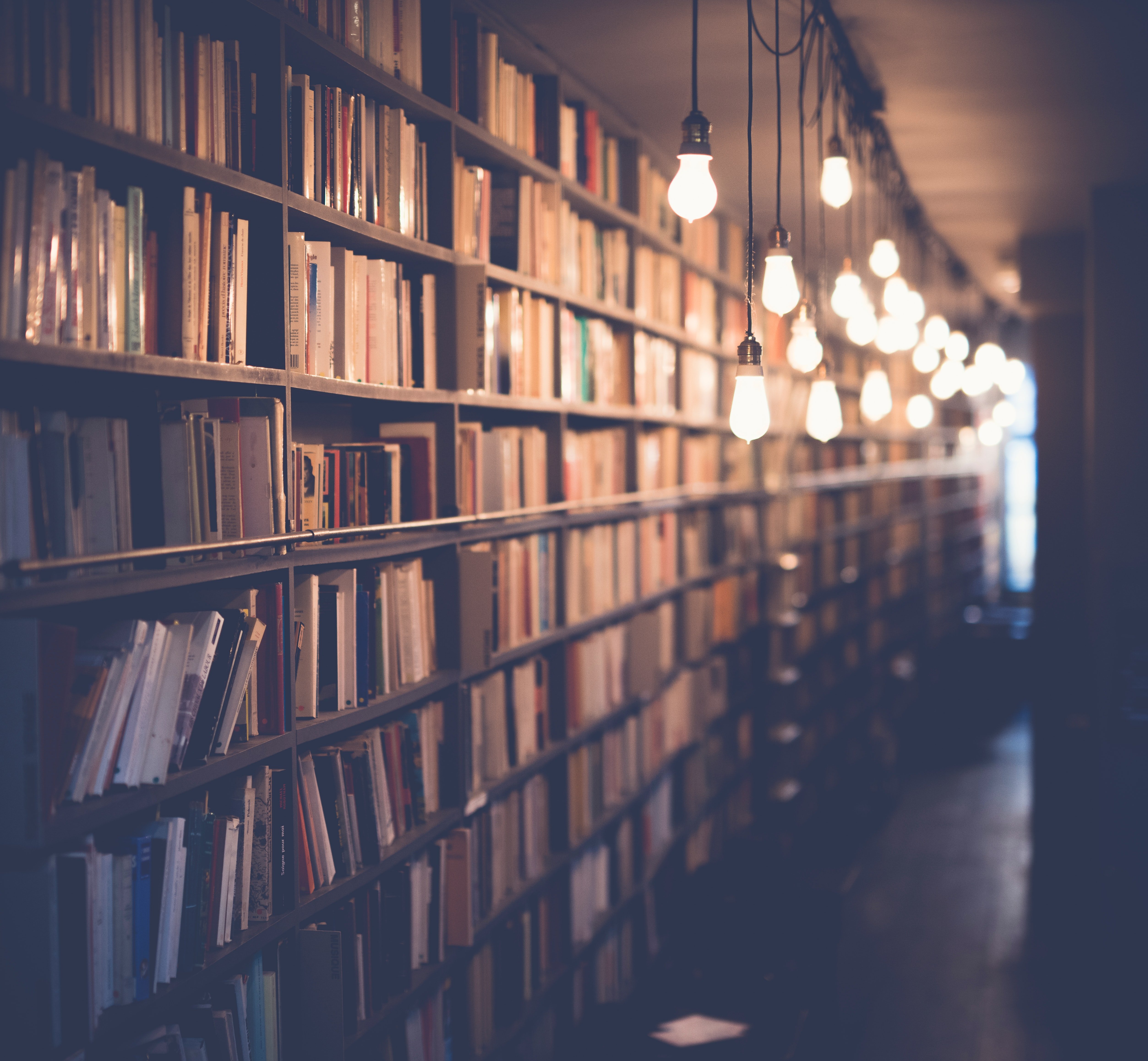 Image Source: Unsplash/🇸🇮 Janko Ferlič