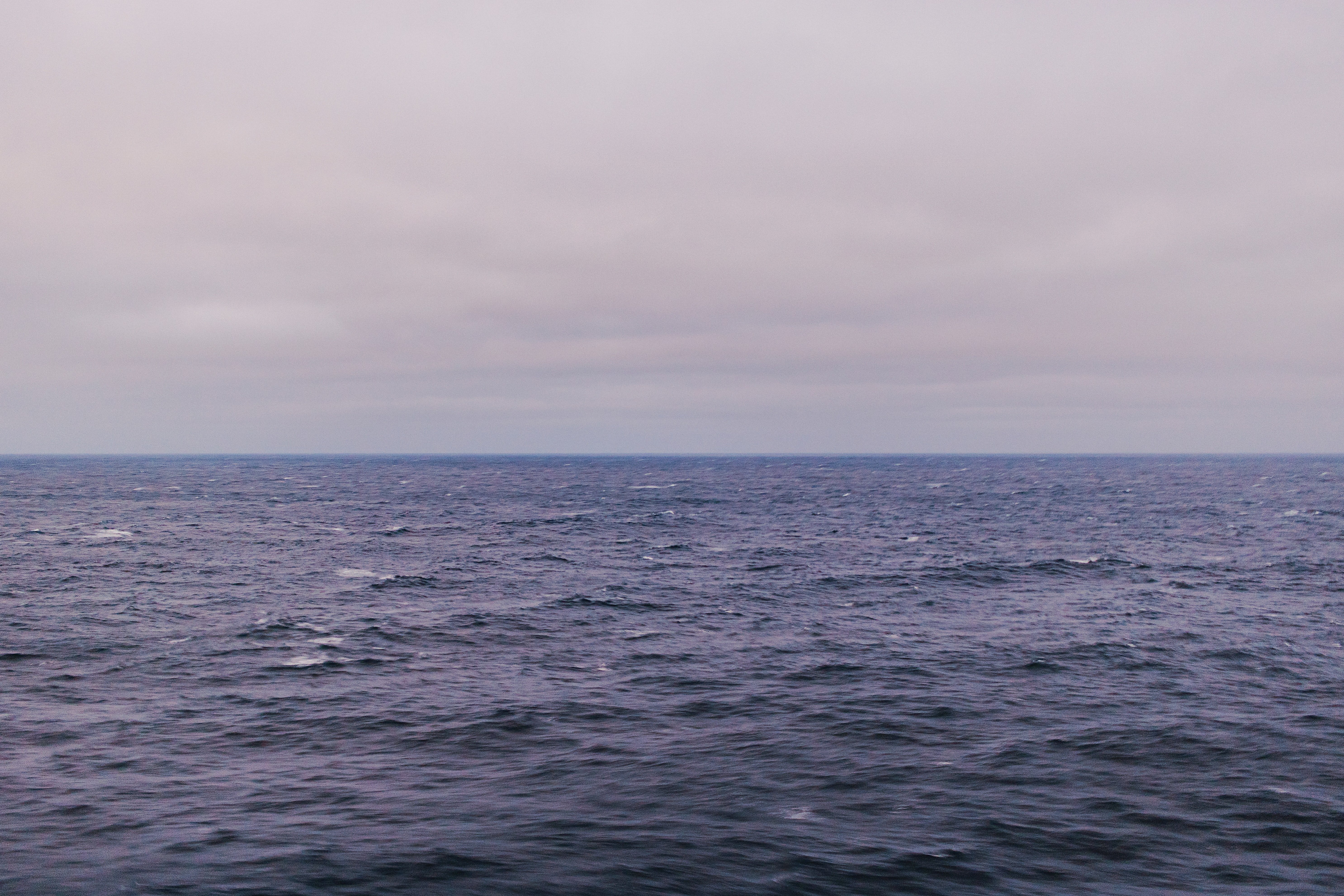 Image Source: Unsplash/Joel Arbaje