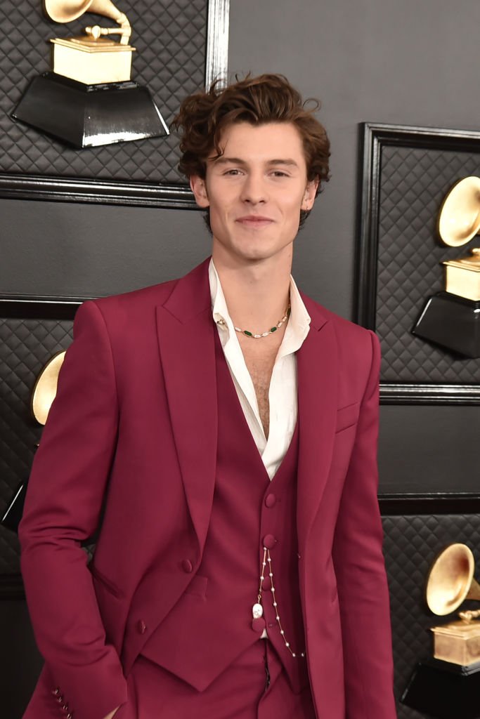 Image Credits: Getty Images / Shawn Mendes at 62nd Annual Grammy Awards 2020
