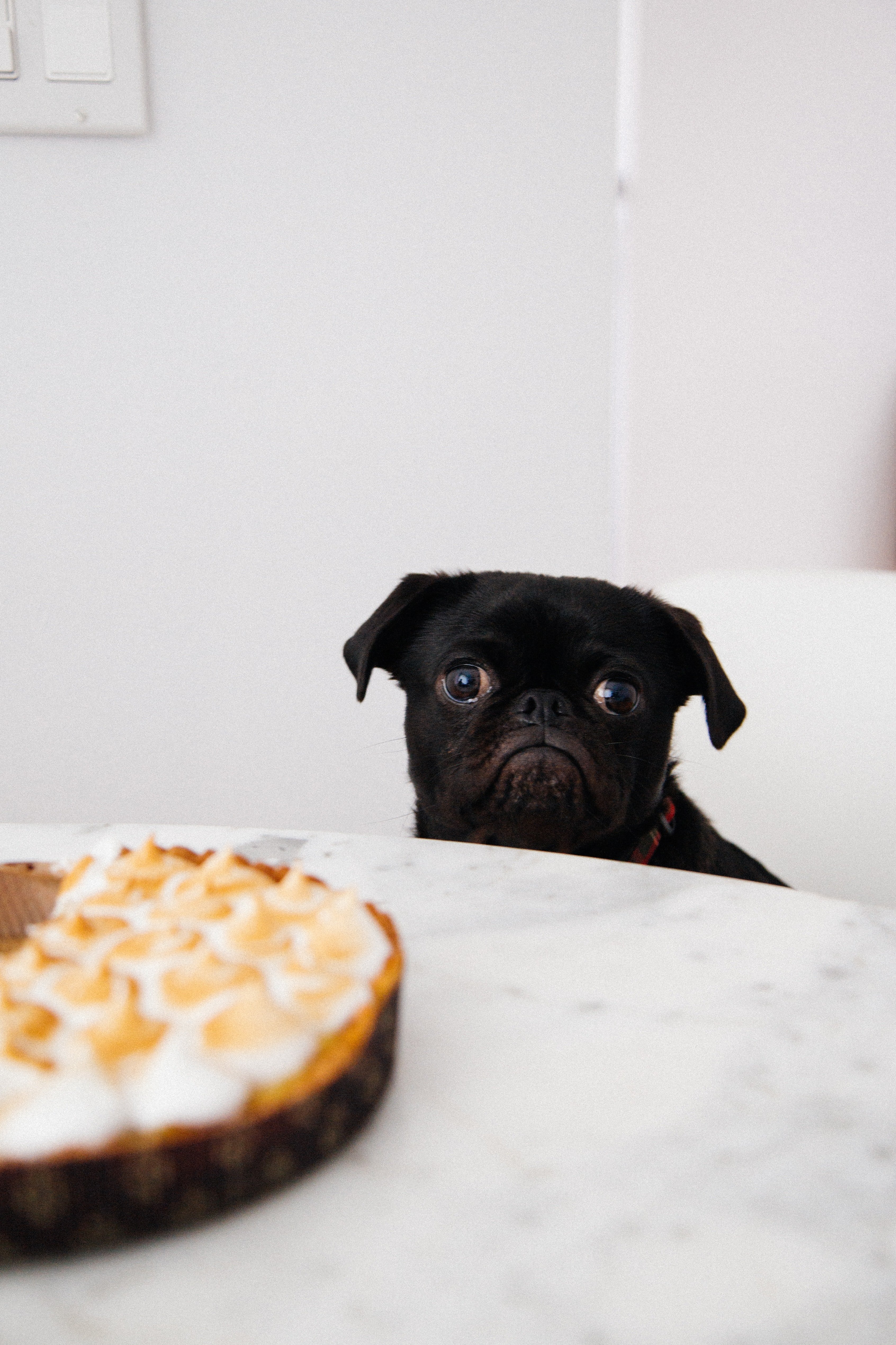 Image source: Unsplash/Charles Deluvio Image source: Unsplash/Charles Deluvio