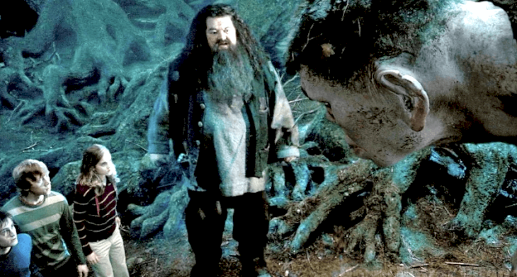 Image credits: YouTube/Harry Potter Világa Image credits: YouTube/Harry Potter Világa