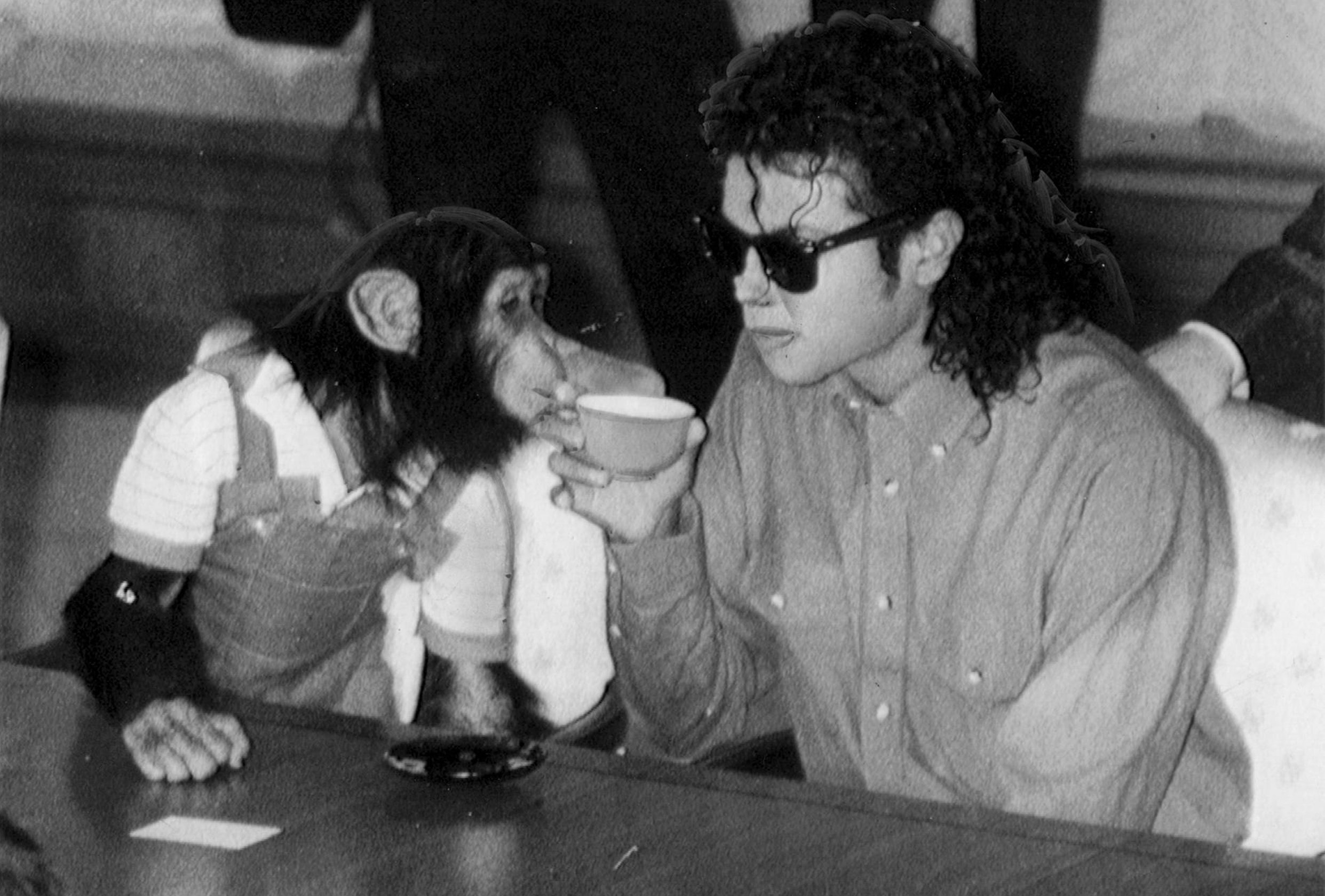 Image Credit: Getty Images / Michael Jackson and his pet chimpanzee, Bubbles. Image Credit: Getty Images / Michael Jackson and his pet chimpanzee, Bubbles.