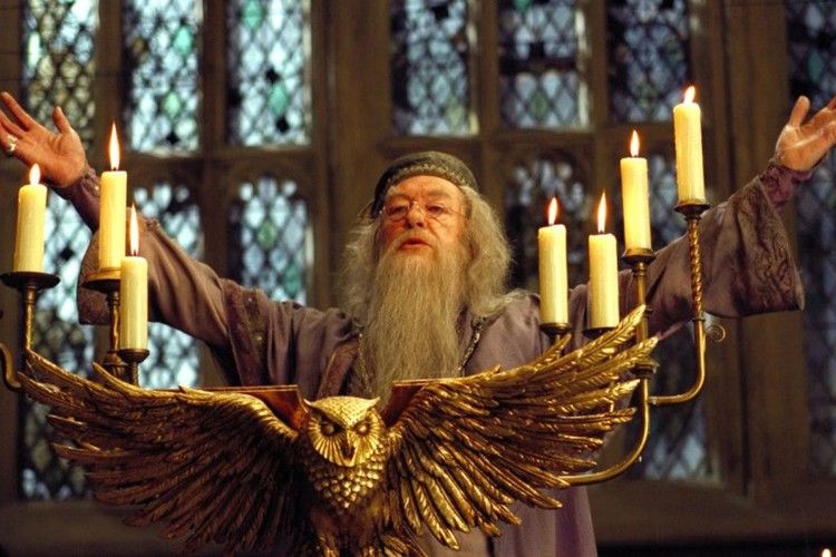 Image Credits: Pinterest/Jeíla Fernandes - Warner Bros Pictures/Harry Potter Saga