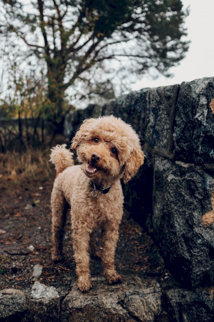 Image Credit: Unsplash / Fredrik Ohlander