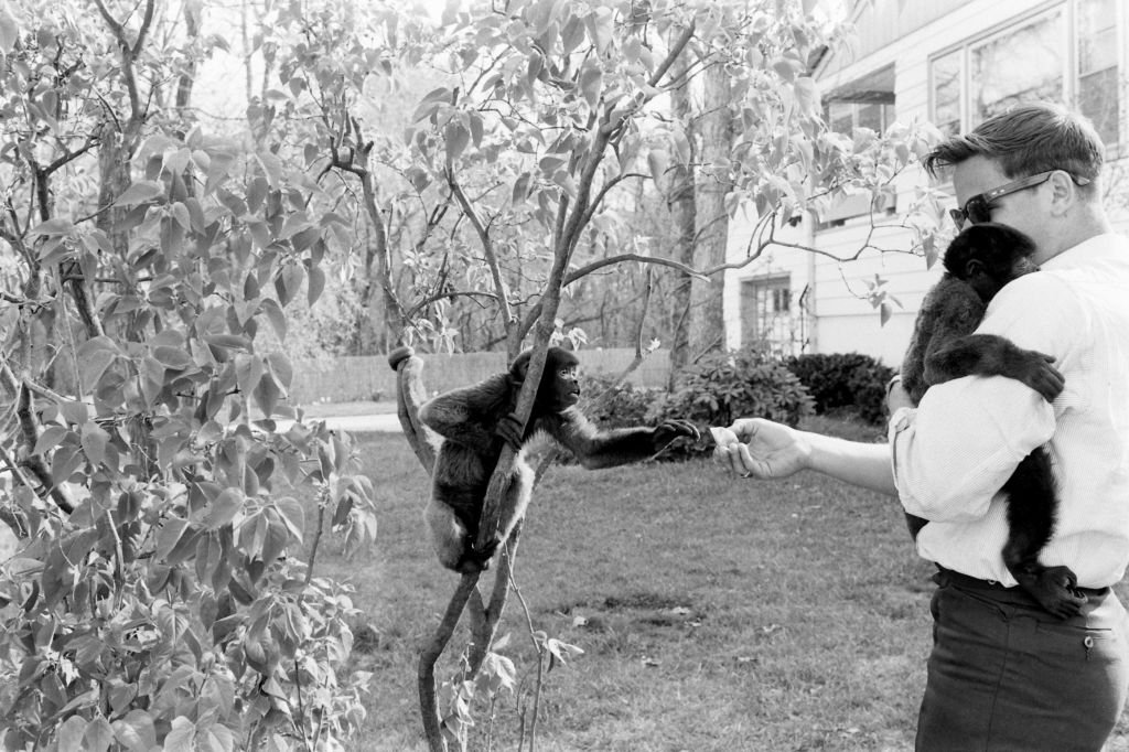 Image Credits: Getty Images/The LIFE Picture Collection/Nina Leen Image Credits: Getty Images/The LIFE Picture Collection/Nina Leen