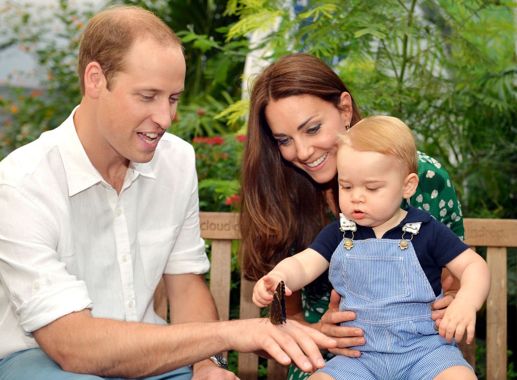 Image Credit: Getty Images / The Cambridges visit the Sensational Butterflies exhibition at the Natural History Museum on July 2, 2014 in London, England.