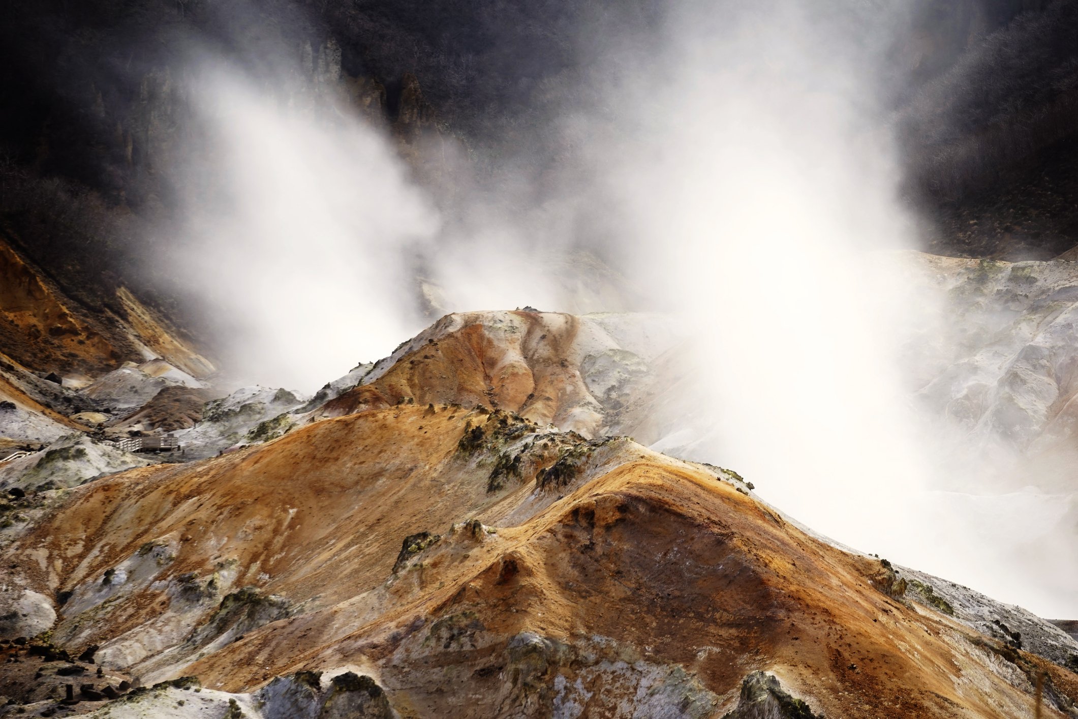 Image Credit: Getty Images Image Credit: Getty Images