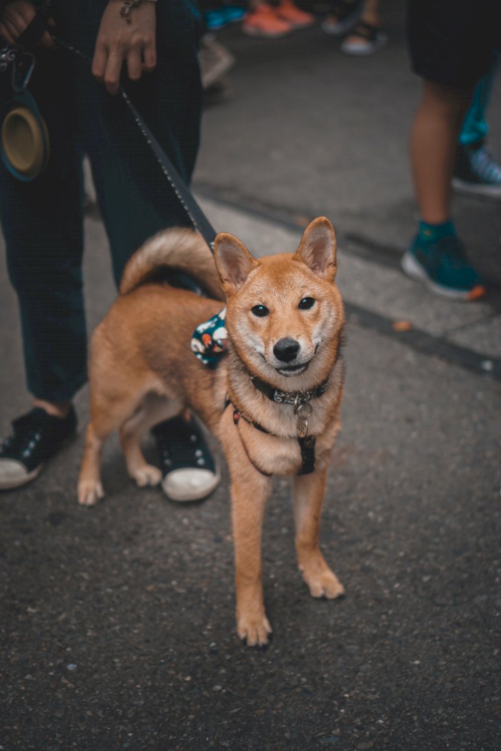 Image Credit: Unsplash / Lisanto