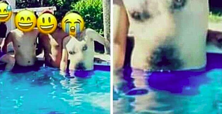 Créditos de imagen: Reddit/chucho-jones-fan Créditos de imagen: Reddit/chucho-jones-fan