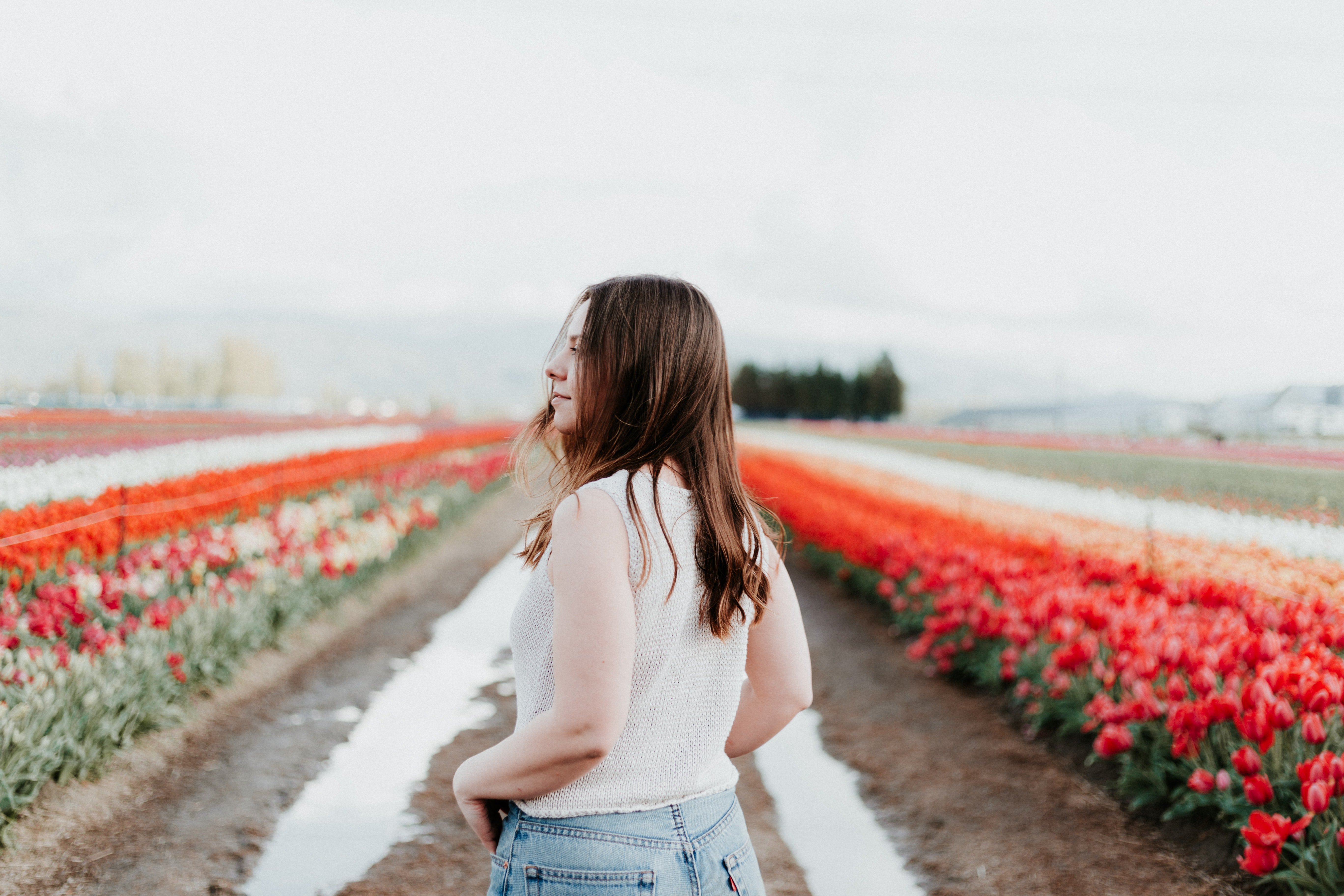 Image Credit: Unsplash / Priscilla Du Preez Image Credit: Unsplash / Priscilla Du Preez