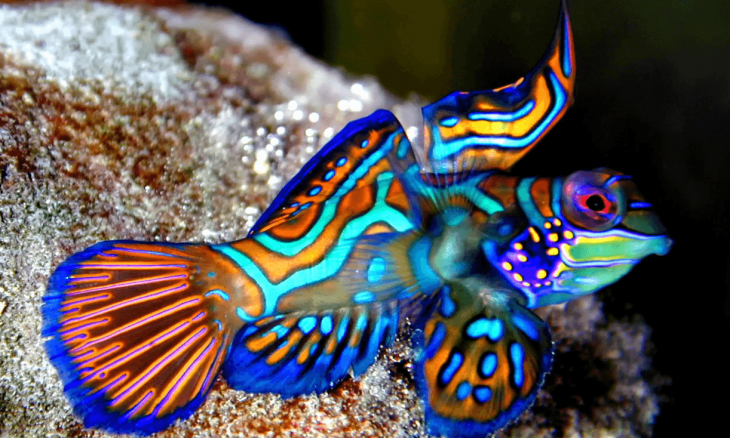 Créditos de imagen: twitter/SebaKraft Créditos de imagen: twitter/SebaKraft