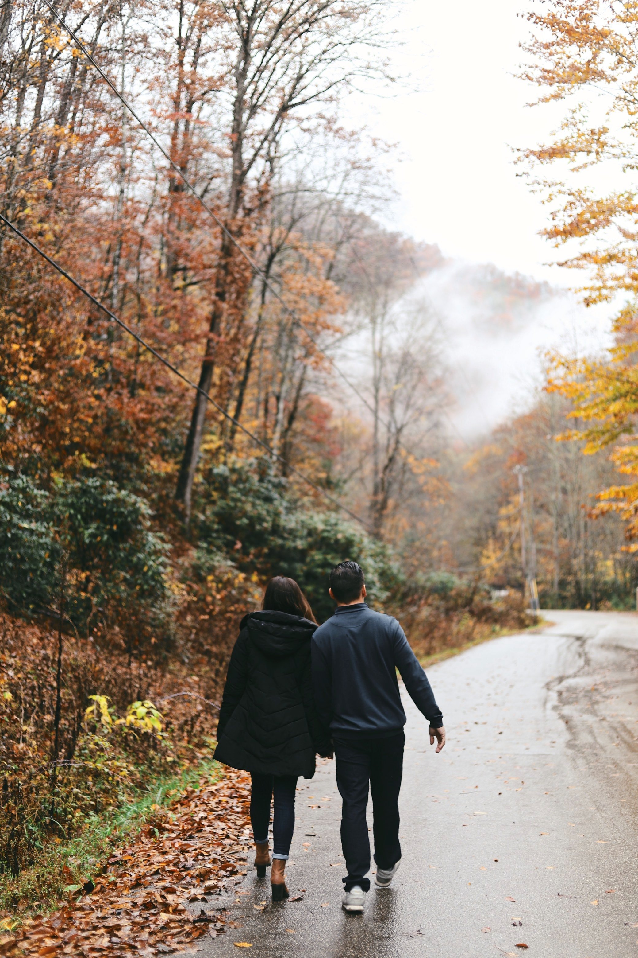 Image Source: Unsplash/Amy Humphries