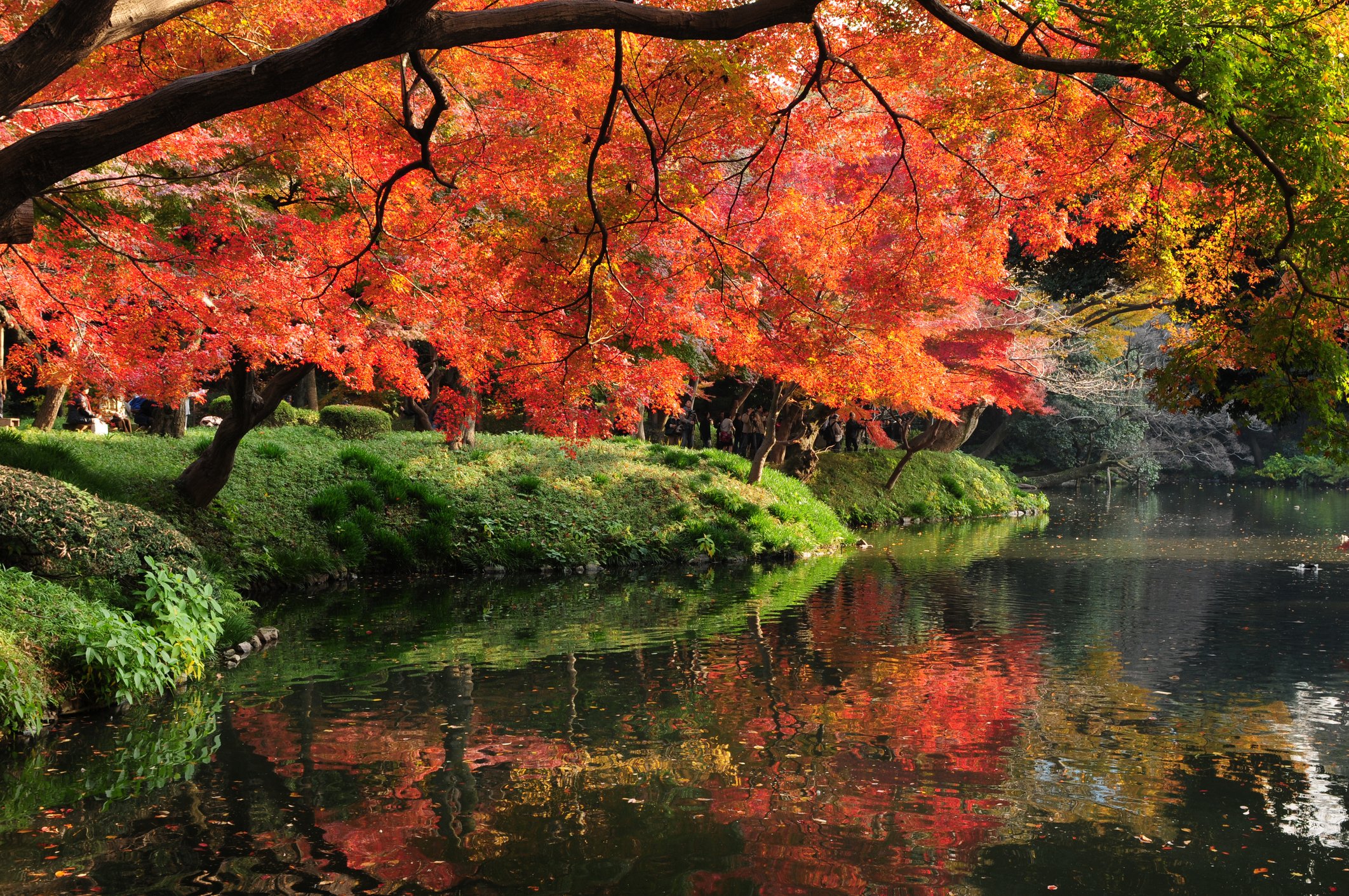 Image Credit: Getty Images Image Credit: Getty Images
