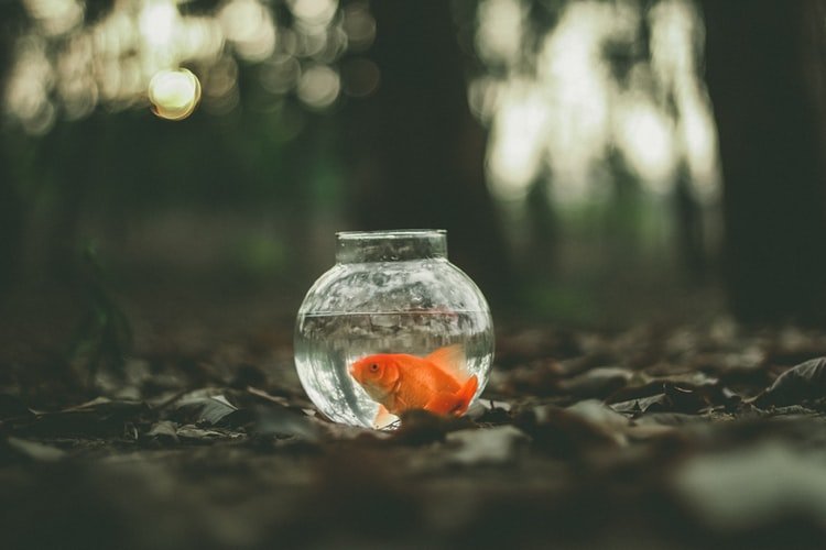 Image Credit: Unsplash Image Credit: Unsplash