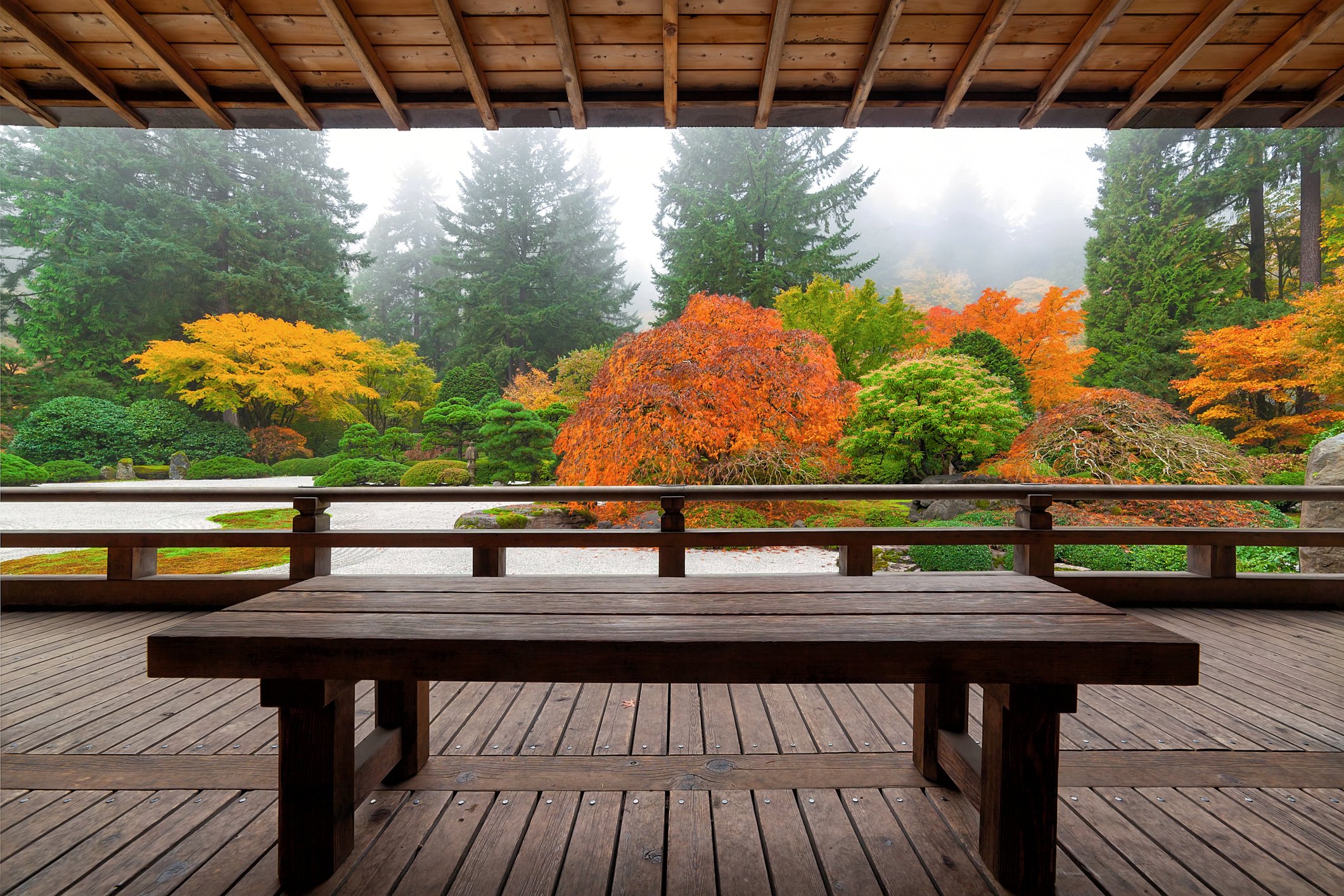 Image Credit: Getty Images Image Credit: Getty Images
