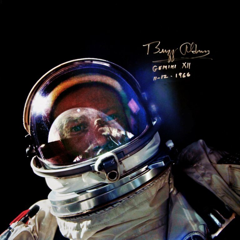 Image Credits: Twitter/TheRealBuzz Image Credits: Twitter/TheRealBuzz