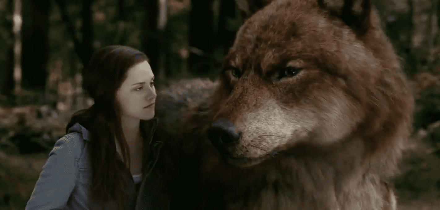 Image Credit: Youtube / Firoz Khan | Summit Entertainment - The Twilight Saga Image Credit: Youtube / Firoz Khan | Summit Entertainment - The Twilight Saga